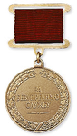 За безупречную службу, Медаль, образца 2001 года