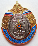 Почетный сотрудник ВНИИ ГОЧС, Знак