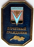 Почетный гражданин Борисоглебск, Знак