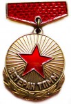Ветеран «ТПММ», Значок