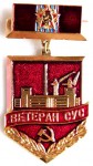 Ветеран «СУС», Значок