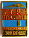 Ветеран строитель Северодвинск, Значок