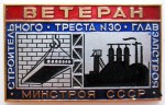 Ветеран строительного треста №30 «Главзапстроя Минстроя СССР», Значок