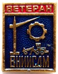 Ветеран «ВНИИСДМ», Значок