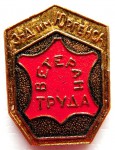 Ветеран труда «Кожевенный завод имени А.Ю. Юргенса», Значок