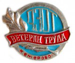 Ветеран труда «Азот» Кемерово, Значок