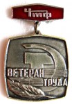 Ветеран труда «ЧТФ», Значок