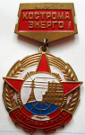 Ветеран труда Костромаэнерго, Значок