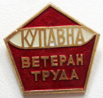 Ветеран труда Купавна, Значок