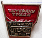 Ветеран труда треста СТМ-62 ГЛС, Значок