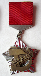 Наставник молодежи, Знак ВЦСПС и ЦК ВЛКСМ Наставник молодежи, Знак ВЦСПС и ЦК ВЛКСМ