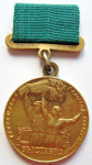 Золотая медаль ВСХВ, За успехи в социалистическом сельском хозяйстве