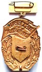Ветеран ОЭЗ Победа, 20 лет, Знак, реверс